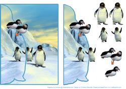 Happy Feet - Penguin Envelop Card