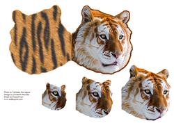 Golden Tiger - Shaped Card - Pyramid