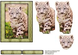 Young Wild Animal Series - Snow Leapord Cub - Decoupage