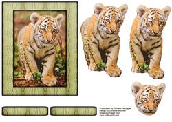 Young Wild Animals Series - Tiger Cub - Decoupage