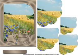Gardening in the Fields