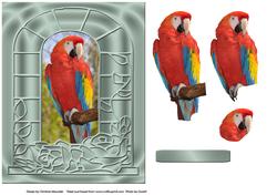 A Scarlet Macaw - Decoupage