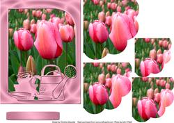 Tulips in the Garden