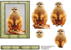 Meerkat - Decoupage