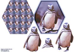 Penguin - Hexagon Decoupage Card