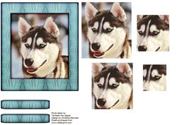 Husky Series - Black and White - Pyramid