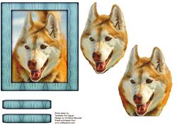 Husky Series - Red Husky - Decoupage