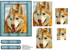 Husky Series - Red Husky - Pyramid