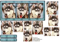 Husky Series - Trio - Pyramid