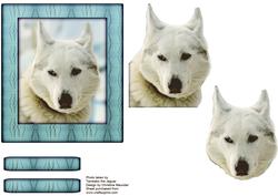 Husky Series - White Husky - Decoupage