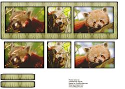 Red Panda Trio
