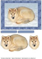 Artic Wolf