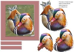 Digital Painting - Mandarin Duck