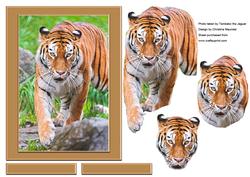 Digital Painting - Siberian Tiger