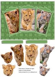 We Three Cubs, Here We Come.