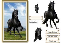 Black Beauty