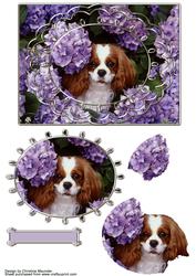 King Charles Cavalier Hiding in the Flowers