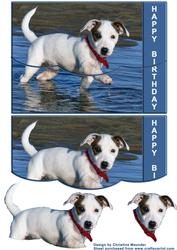 Cute Jack Russell - Envelope Card