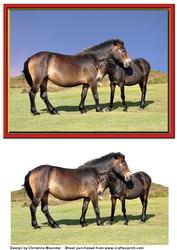 Horses - Mare and Foal