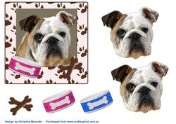 Bulldog Portrait
