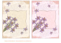 Floral Frame Backing Sheets