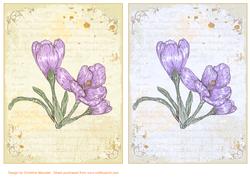 Floral Vintage Backing Sheets 2