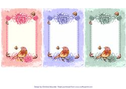 Bird and Roses Frames