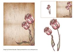 Vintage Tulips Backing Sheet