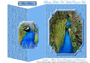 Beautiful Peacock Back Fold No Hole Mini Kit