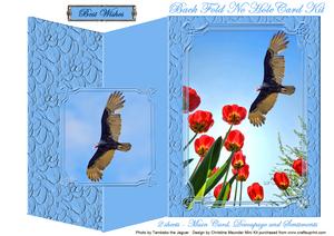 The Beauty of Flight Back Fold No Hole Mini Kit