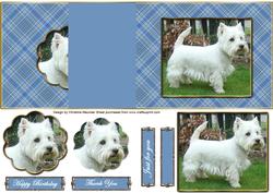 Love Westies - Blue - No Hold Back Fold