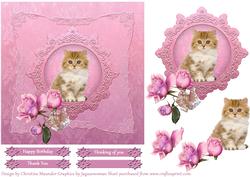 Sweet Kitten
