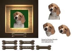 Beagle Pup Portrait