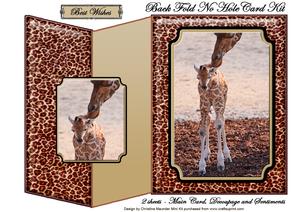 Mum and Baby Giraffe