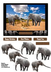 Safari Elephants
