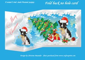 It Wasn't Me - Jack Russel Puppy