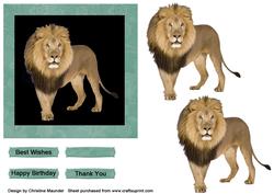 Stunning Lion