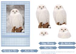 White Owl
