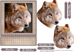 Wolf Portrait
