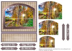 Autumn Trees Through the Window