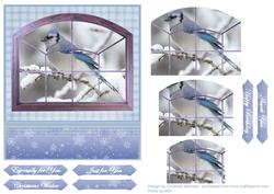 Blue Jay Through the Window