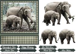 Elephant Mum and Calf