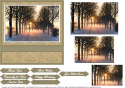 Misty Winter Afternoon