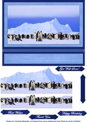 Happy Feet Here We Come