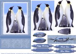 Our Penguin Family