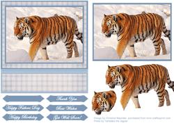 Siberian Tiger in the Snow