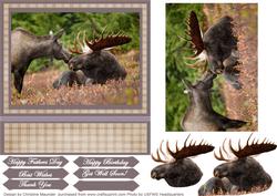 Alaskan Moose