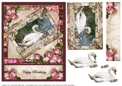 Swan and Cygnets