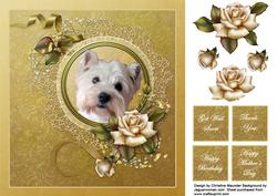 Westie with Roses