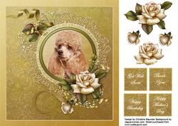 Poodle with Roses